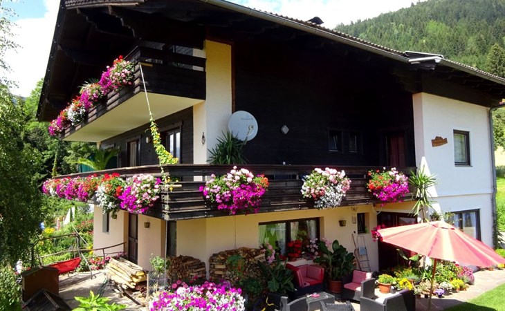 Cosmea in Millstatt 1