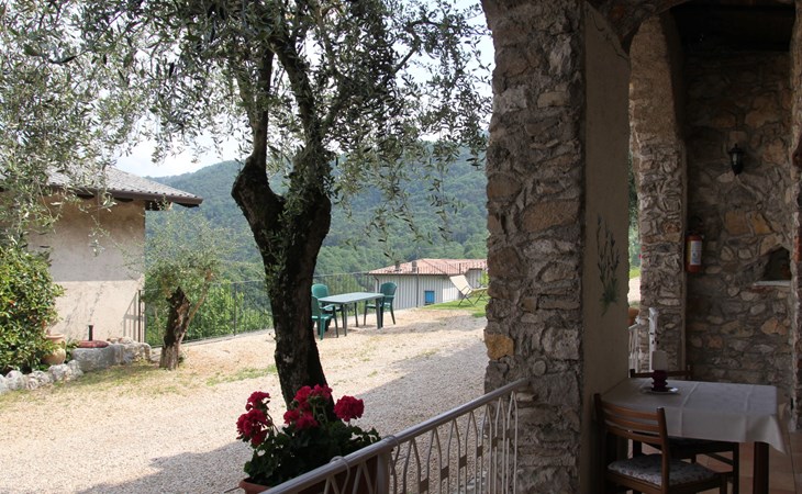 The Truffle Grove 1
