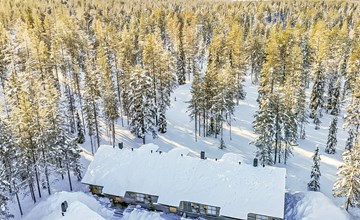 Teerentie / Spaß / Dasher 3