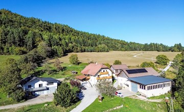 Mittagskogel 3