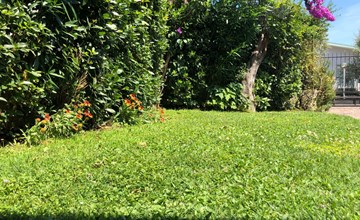 Heliopolis' Wohnung mit Dachterrasse 3