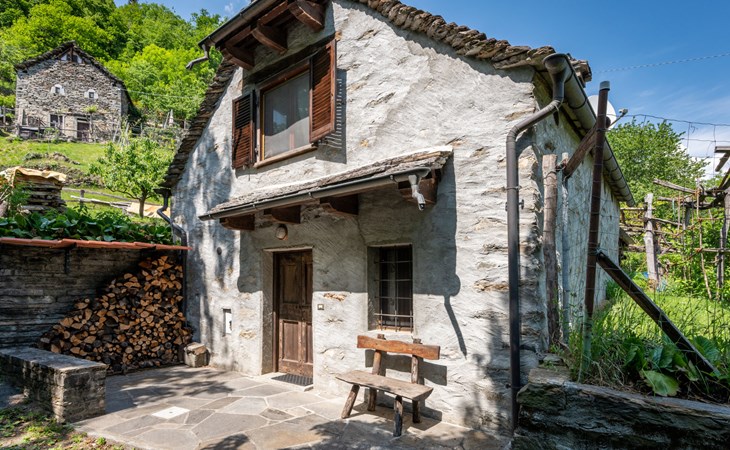 Auch Anita (DOD100) 1