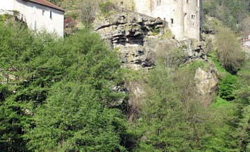 De Oleanders (LRG490) 2