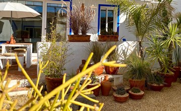 Vila Verão Nur für Erwachsene 3