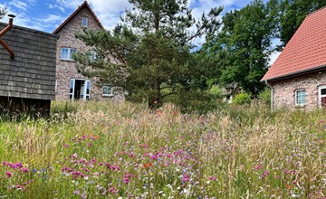 Haus Hartriegel im Bispinger Heidezauber 3