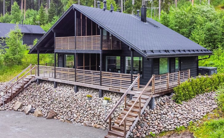 Die Fee der Lust 1 1