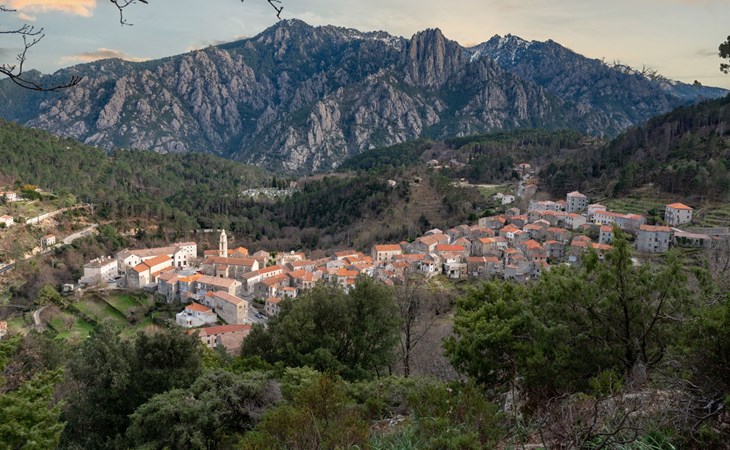 Migone de Sampolo (GHI306) 1