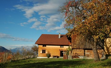 Dünser in Dünserberg 2
