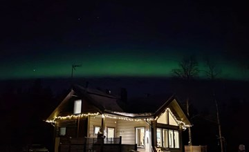 Wol lystikämä 3