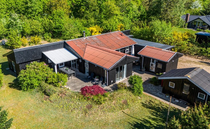 4 bedroom beautiful home in Skjern 1