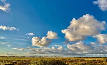 "Neia" - 640m from the sea in Western Jutland 2