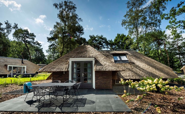 Sprielderbosch 21 luxury holiday villa in forest near Putten 1