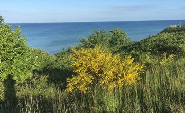 "Rikus" - 300m from the sea in SE Jutland 2