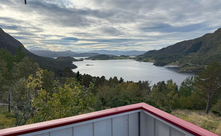 Stabben white House 1