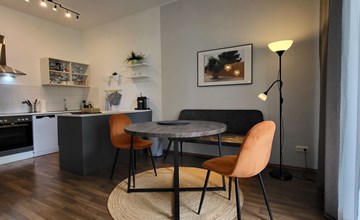 Modernes Apartment in Magdeburg 3