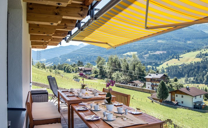 Pfisterer (BRG150) 1