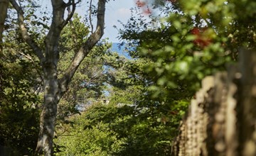 "Andy" - 150m from the sea 3