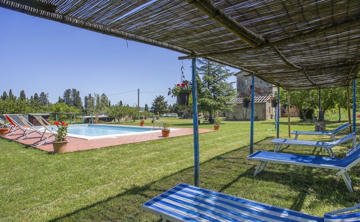 Fattoria Petraglia - Cedar 1