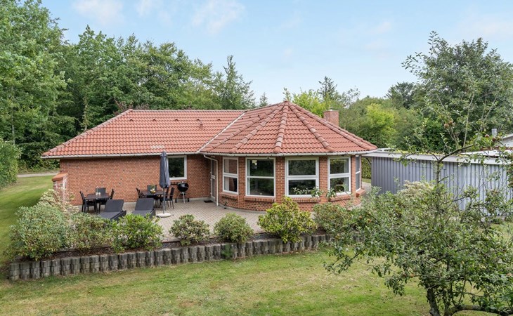 "Wyatt" - 30km from the sea in Western Jutland 1