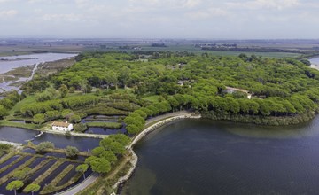 Adria-Haus (GDO203) 2