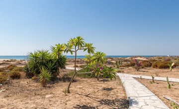 Amarillis, Wohnung am Strand 3