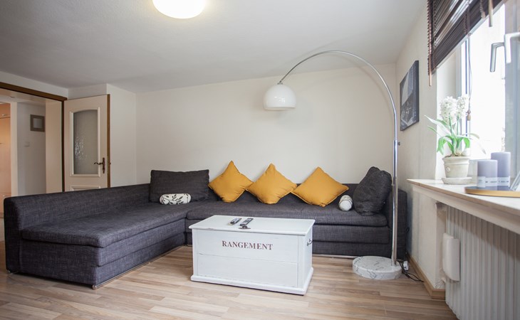 Appartement - Neuastenbergerstr 4 | Neuastenberg (Winterberg) 1