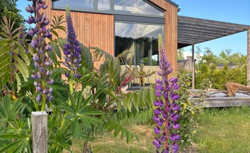 Bungalow Lupine | 4 Personen 3