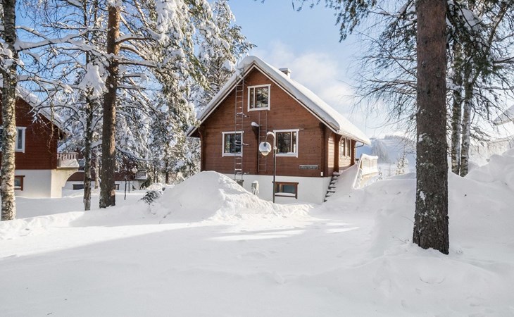 Halfvrijstaande woning Alppikylä 3b 1