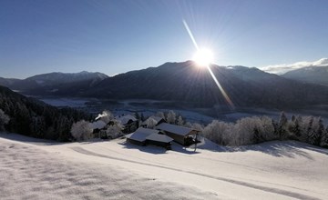 Waldpension in Steinfeld 3
