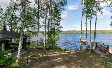 Wool domestic birch 2