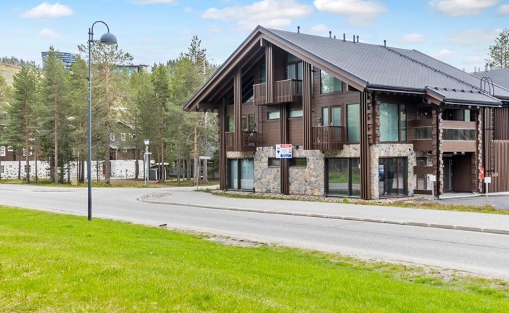 Platinum Lapland b1 1