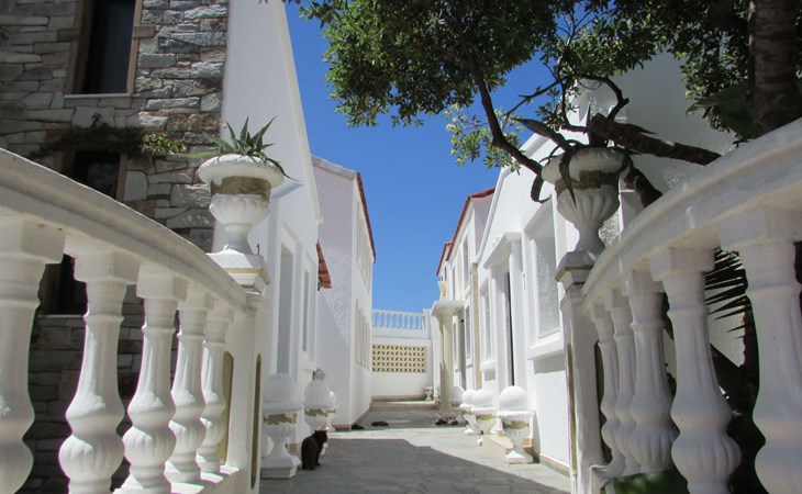 Castellino-Studios 1