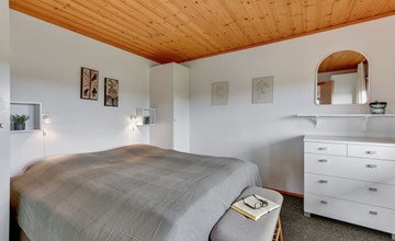 "Trineke" -  from the sea in Western Jutland 2