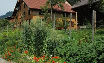 Dünser in Dünserberg 3