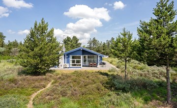 „Dorti“ – 3 km vom Meer entfernt in Westjütland 3