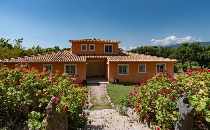 Gelormini (GHI311) 1