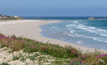 Kleines Chalet am Strand (CED236) 2