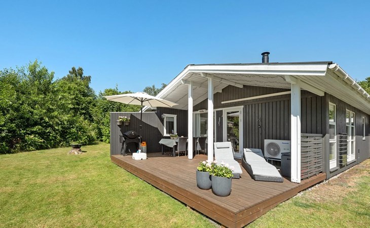 "Brune" - 30km from the sea in Western Jutland 1