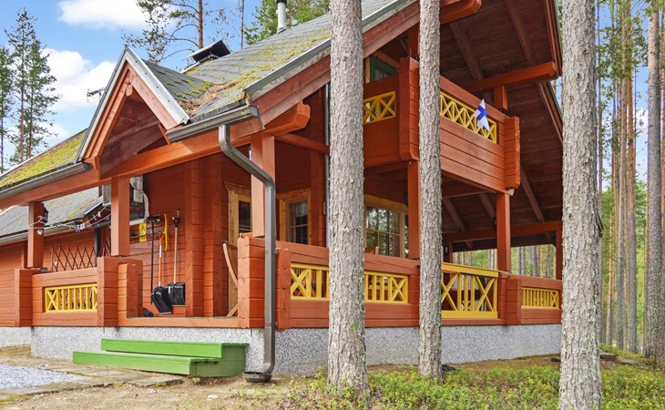 Specht van wolkegel 1