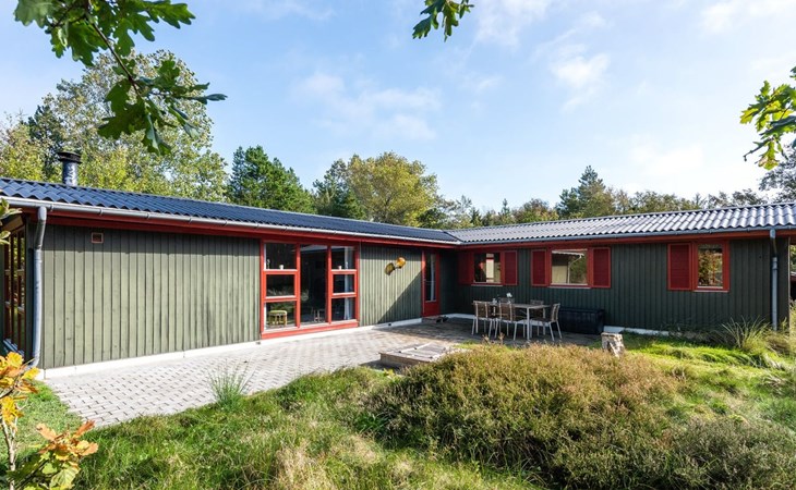 "Eliane" - 4km from the sea in Western Jutland 1