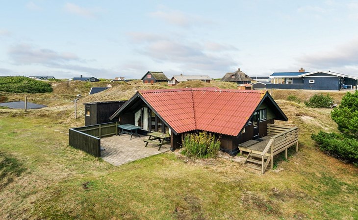 "Delia" - 300m from the sea in Western Jutland 1