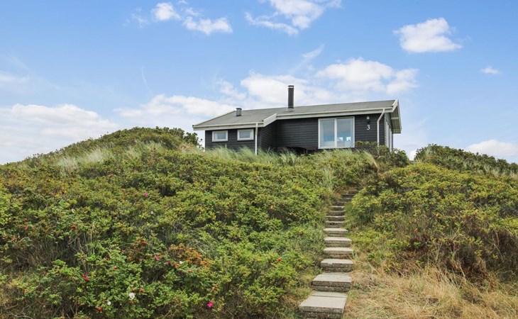 "Ami" - 200 meter van de zee in West-Jutland 1