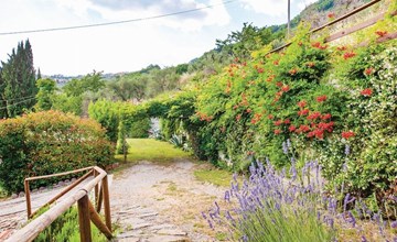 Haus mit Garten, Terrasse, in den Hügeln von Lucca 3