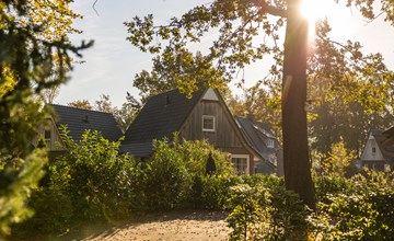 Villa Beukelaer Wellness Plus mit Sauna und Whirlpool | 4 Personen 3