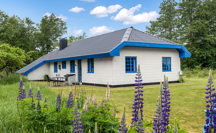 "Ema" - 5km from the sea 1