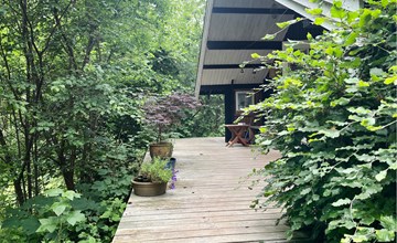 3 bedroom pet friendly home in Ebeltoft 2