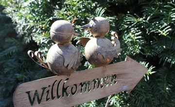 in Alt-Schadow mit Grill und Terrasse 2