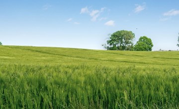 "Thorwer" - 250 meter van de zee in Zuidoost-Jutland 3