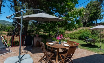 Rutili - Josée (CTN255) 3