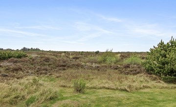 "Dida" - 3.1km from the sea in Western Jutland 2